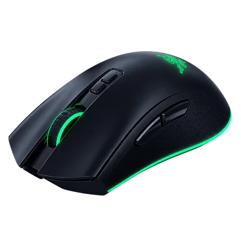 Mouse